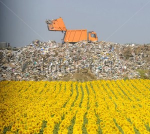 Discarica