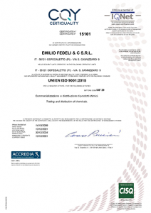 Sistema di gestione della qualità - Certificazione
